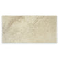Travertine Biscuit (12 x 24") - Sample