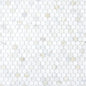 Calacatta Penny (1" x 1") - Sample