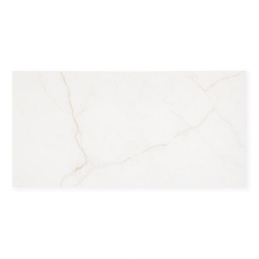 Sanctuary Bianco (12" X 24")