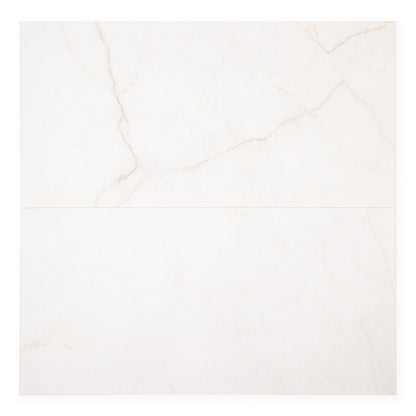 Sanctuary Bianco (12" X 24")