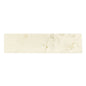 Belvedere Perlino (2" x 8") - Sample