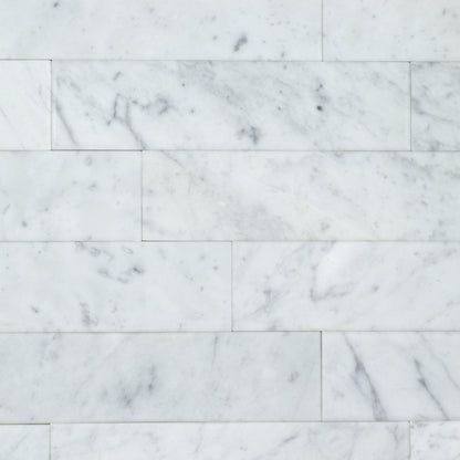 Belvedere Carrara (2" x 8")