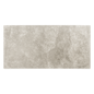 Saltstone Taupe (12" X 24")
