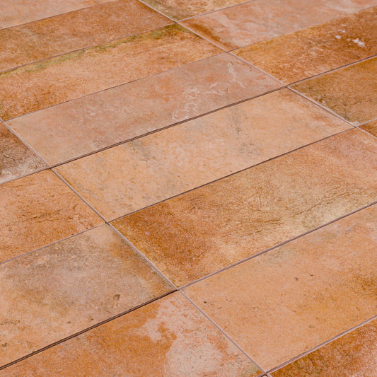 Tuscan Cotto (2.5" x 8")