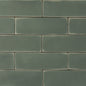 Woodland Fir Matte (2" X 6")