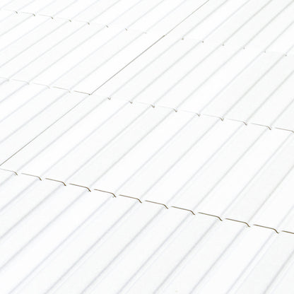 Viva White (4.5" X 9")