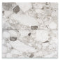 Rainstone Granite (12" x 24") - Sample